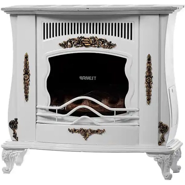 بخاری 30 هزار ارنست